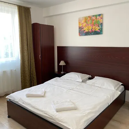 亚斯敏旅馆 蒂米什瓦拉