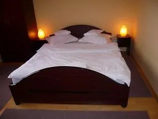 亚斯敏旅馆 3* 蒂米什瓦拉